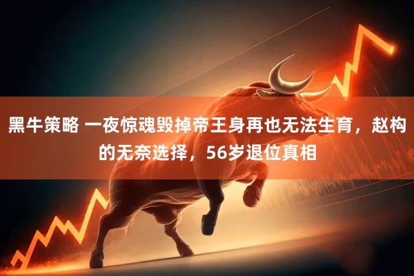 黑牛策略 一夜惊魂毁掉帝王身再也无法生育，赵构的无奈选择，56岁退位真相