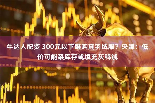 牛达人配资 300元以下难购真羽绒服？央媒：低价可能系库存或填充灰鸭绒