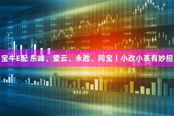 宝牛E配 东峰、望云、永胜、同宝丨小改小革有妙招
